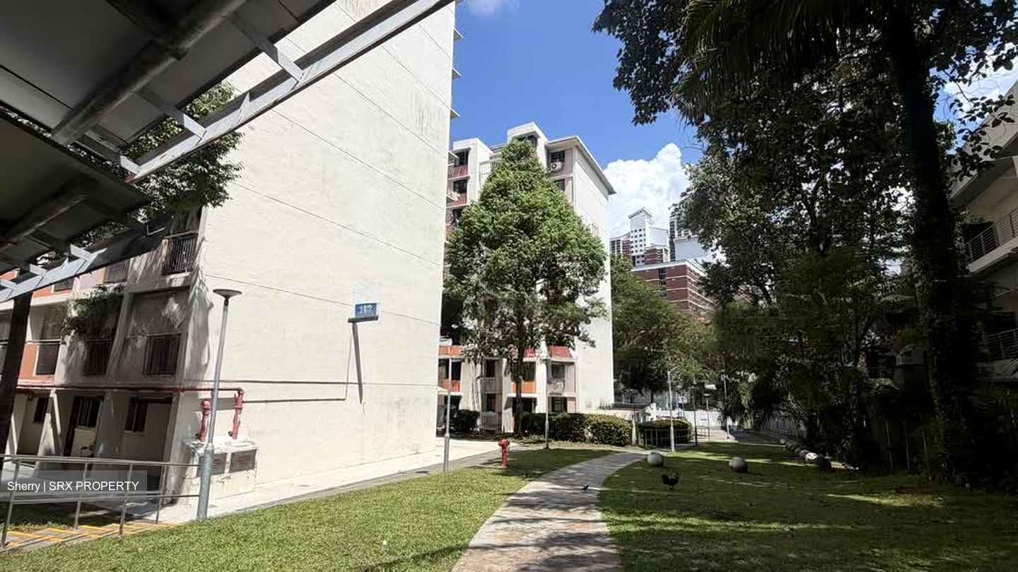 Blk 112 Commonwealth Crescent (Queenstown), HDB 3 Rooms #563230741